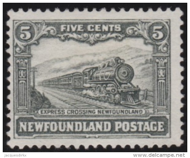 Newfoundlans    .    SG   .        183       .      (*)         .     Geen  Gom   .    /      .     No Gum - 1908-1947