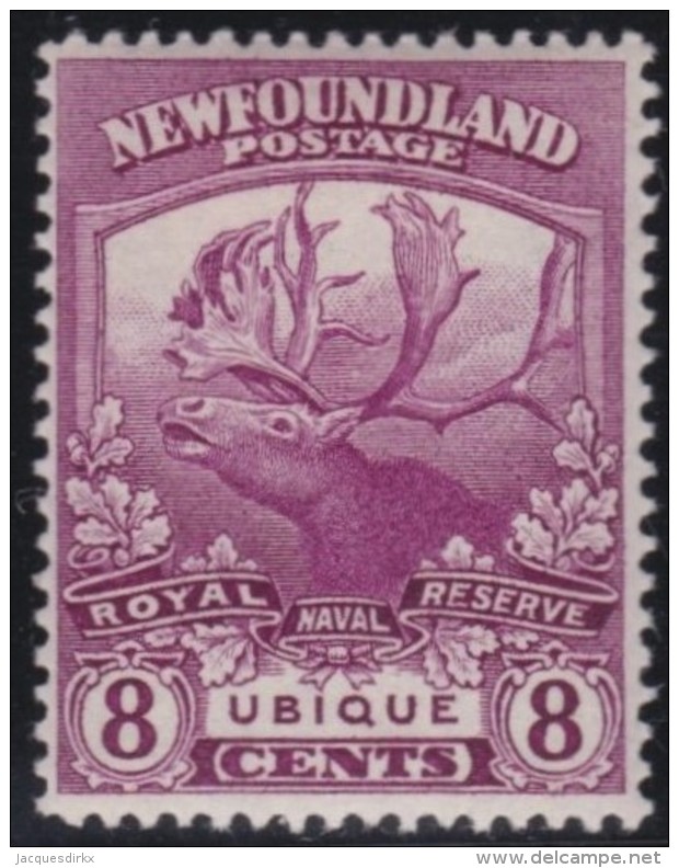 Newfoundlans    .    SG   .       136     .     *       .     Ongebruikt    .    /      .     Mint-hinged - 1908-1947