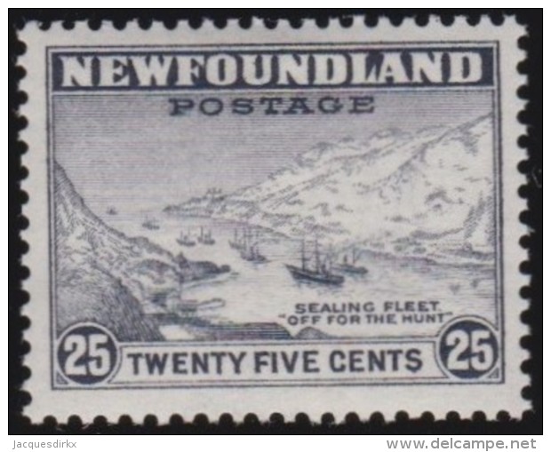 Newfoundlans    .    SG   .      219       .     *       .     Ongebruikt    .    /      .     Mint-hinged - 1908-1947