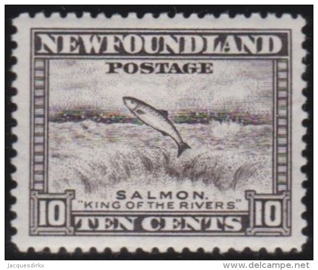 Newfoundlans    .    SG   .      283     .     *       .     Ongebruikt    .    /      .     Mint-hinged - 1908-1947