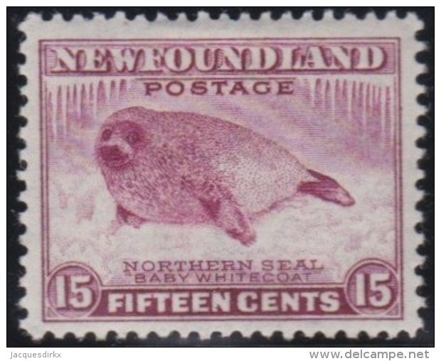 Newfoundlans    .    SG   .      285       .     *       .     Ongebruikt    .    /      .     Mint-hinged - 1908-1947