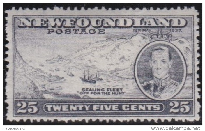 Newfoundlans    .    SG   .      266b          .     *       .     Ongebruikt    .    /      .     Mint-hinged - 1908-1947