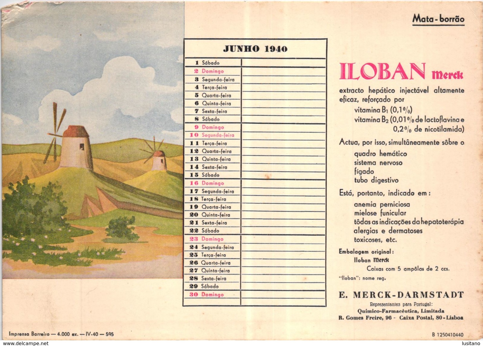 PORTUGAL MATA BORRAO BUVARD BLOTTER  20.8 X 14.7 CMS - 1940 MOULIN MILL MEDECINE ADVERTISING ( 2 SCANS ) - Peintures