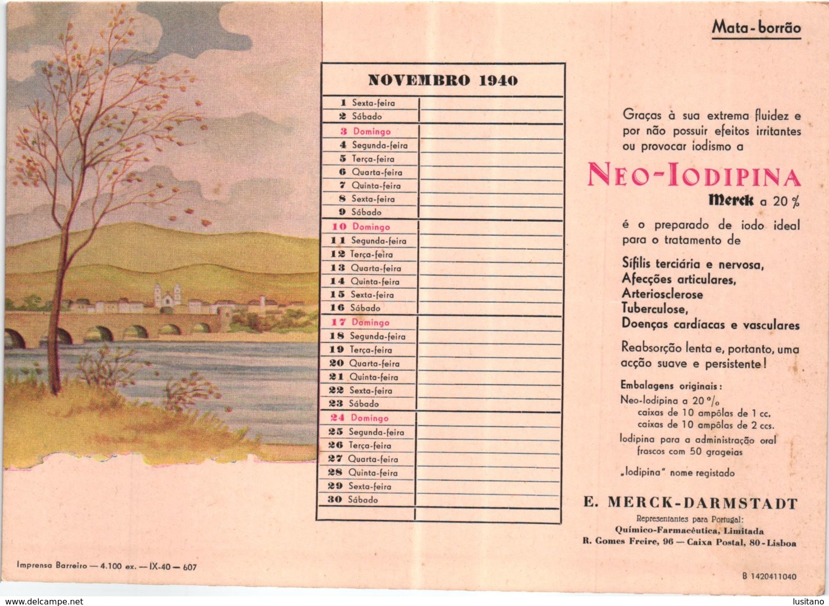 PORTUGAL MATA BORRAO BUVARD BLOTTER  20.8 X 14.7 CMS - 1940 MEDECINE ADVERTISING ( 2 SCANS ) - Peintures