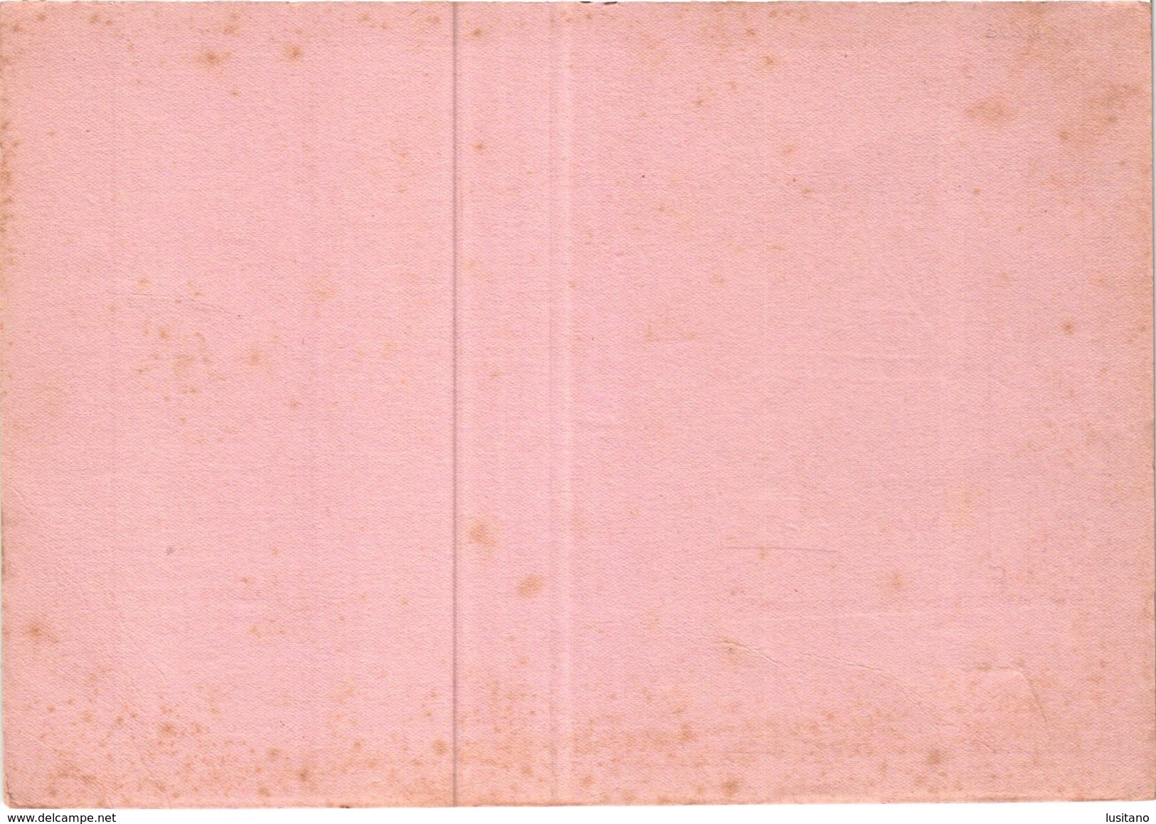 PORTUGAL MATA BORRAO BUVARD BLOTTER  21.2 X 14.5 CMS - 1941  MERCK MEDECINE ADVERTISING - Pinturas
