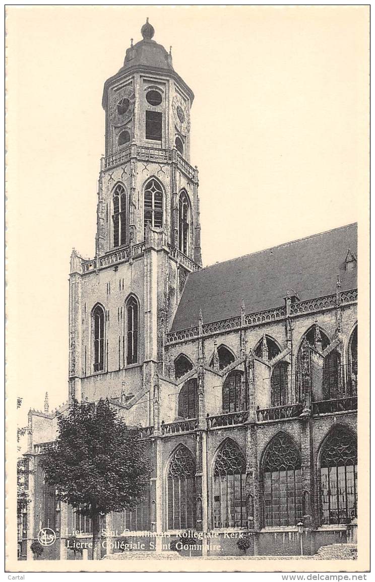 LIER - Sint Gommarus Kollegiale Kerk - Lier