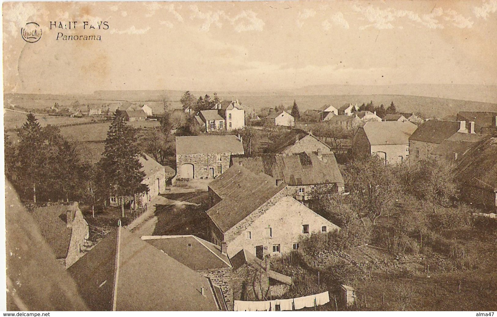 Haut-Fays - Panorama - Circulé 1928, Signé Alice, Arthur Et Marie -  - Edit. Albert - Stral, Haut-Fays - Daverdisse