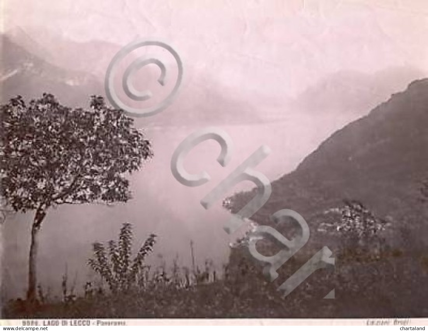 * Foto Albumina Brogi Lago Di Lecco 1875 Ca. Panorama - Autres & Non Classés