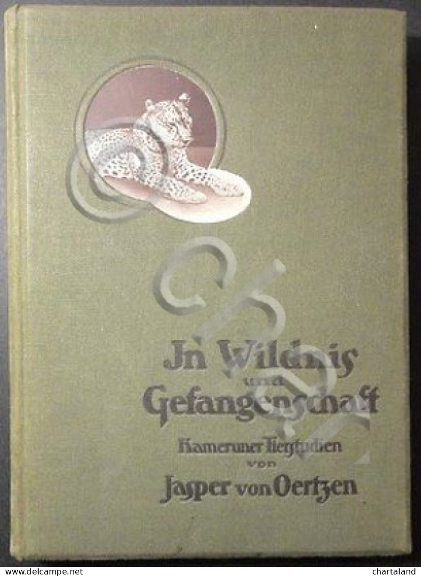 Jn Wildnis Und Gefangenschaft Kameruner Tiersfudien Jasper Von Ortzen  1913 - Documents