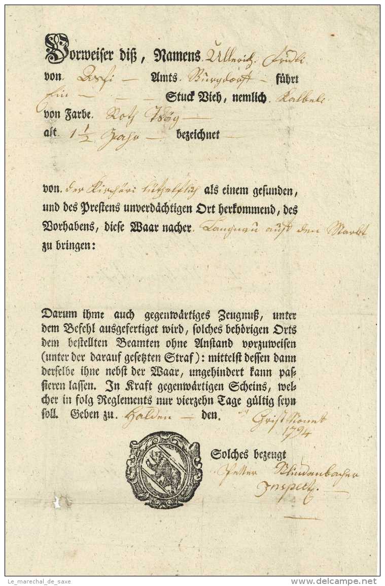 1794 Bern Schweiz Emmental Burgdorf Langnau Lützelflüh Halden Blindenbacher Gesundheitspass Fridli - Documents Historiques