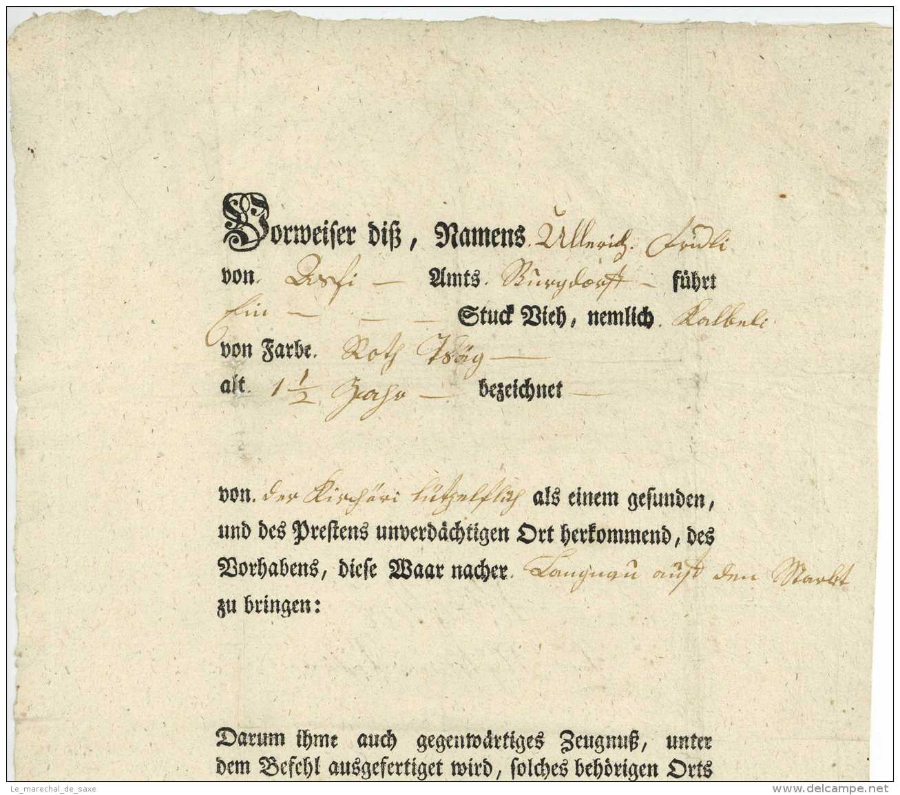 1794 Bern Schweiz Emmental Burgdorf Langnau Lützelflüh Halden Blindenbacher Gesundheitspass Fridli - Documents Historiques