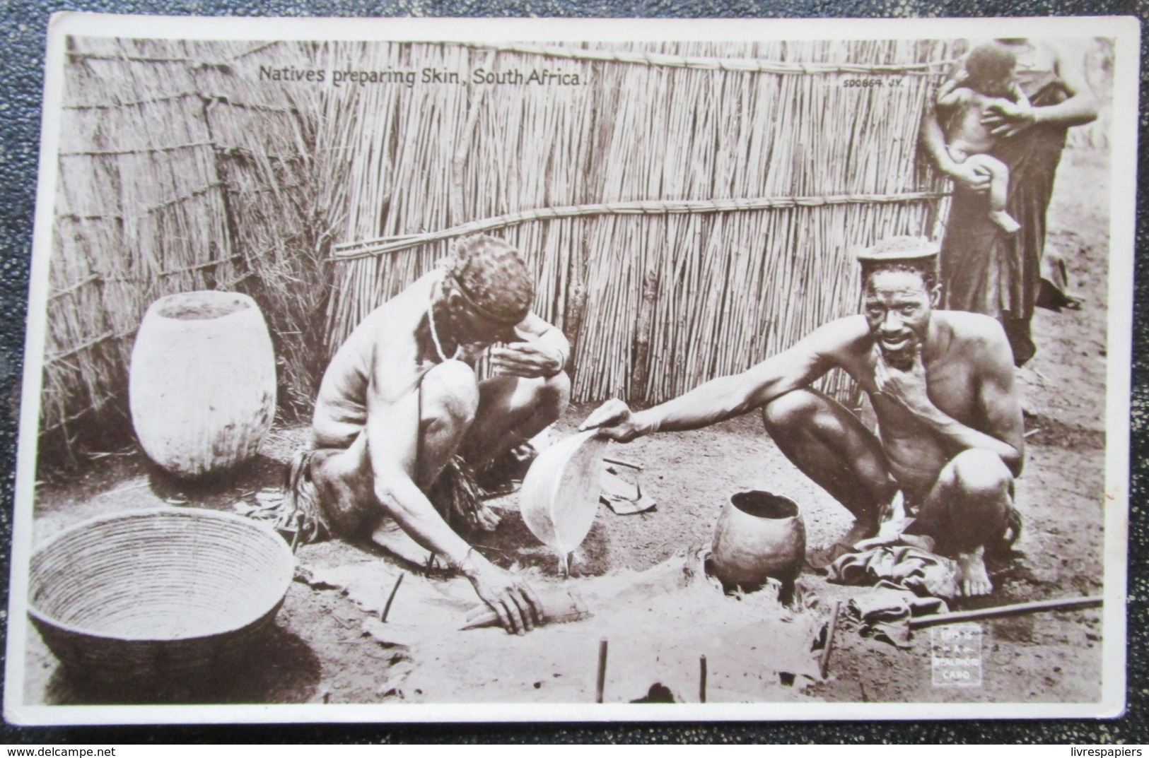 Afrique Du Sud Natives Preparing Skin Cpa South Africa Valentine's - Sudáfrica