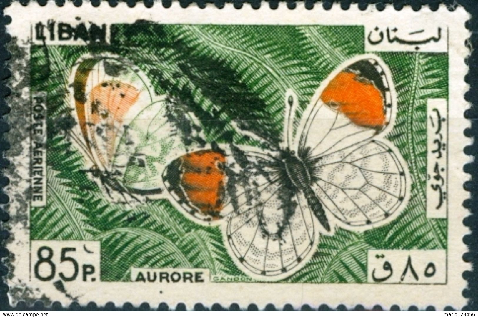 LIBANO, LIBAN, LEBANON, POSTA AEREA, AIRMAIL, FAUNA, INSETTI, FARFALLE, BUTTERFLIES, 1965, USATI,  YT PA337,  Scott C432 - Lebanon