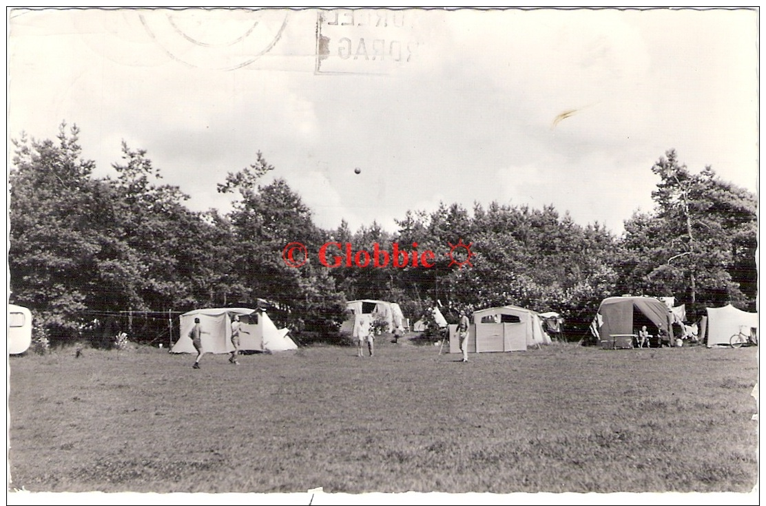 Berlicum  Tenten Op Bondskampeerplaats "d'Hooghei"  Echte Fotokaart 1966 - Sonstige & Ohne Zuordnung