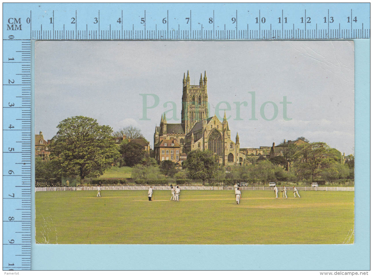 Sport Cricket  - The Cricket Ground + Cathedral Worcester England, Animated - Cricket