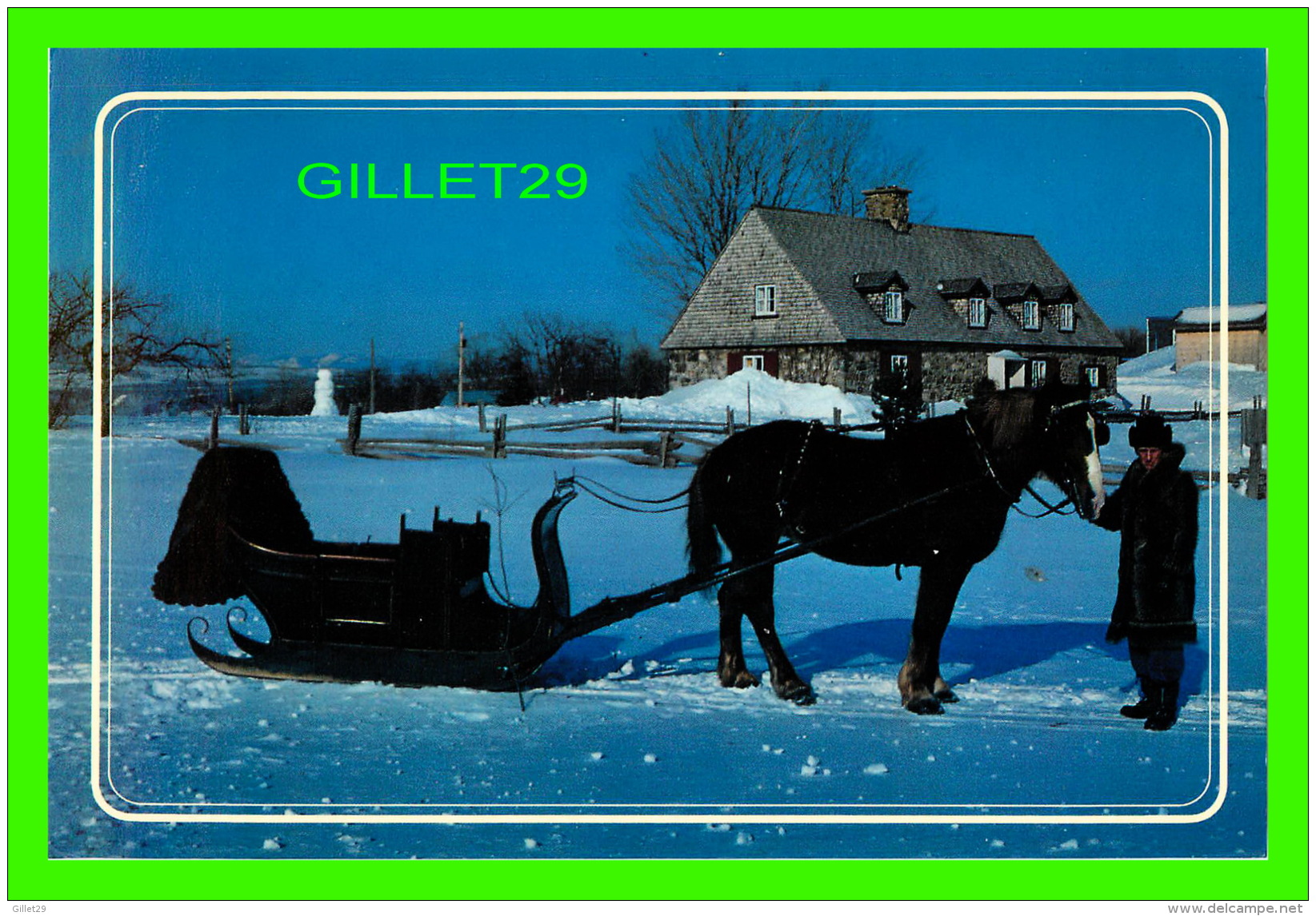 CHEVAUX - HORSES -  WINTER TIME - BALADE EN TRAINEAU AU QUÉBEC - - Chevaux