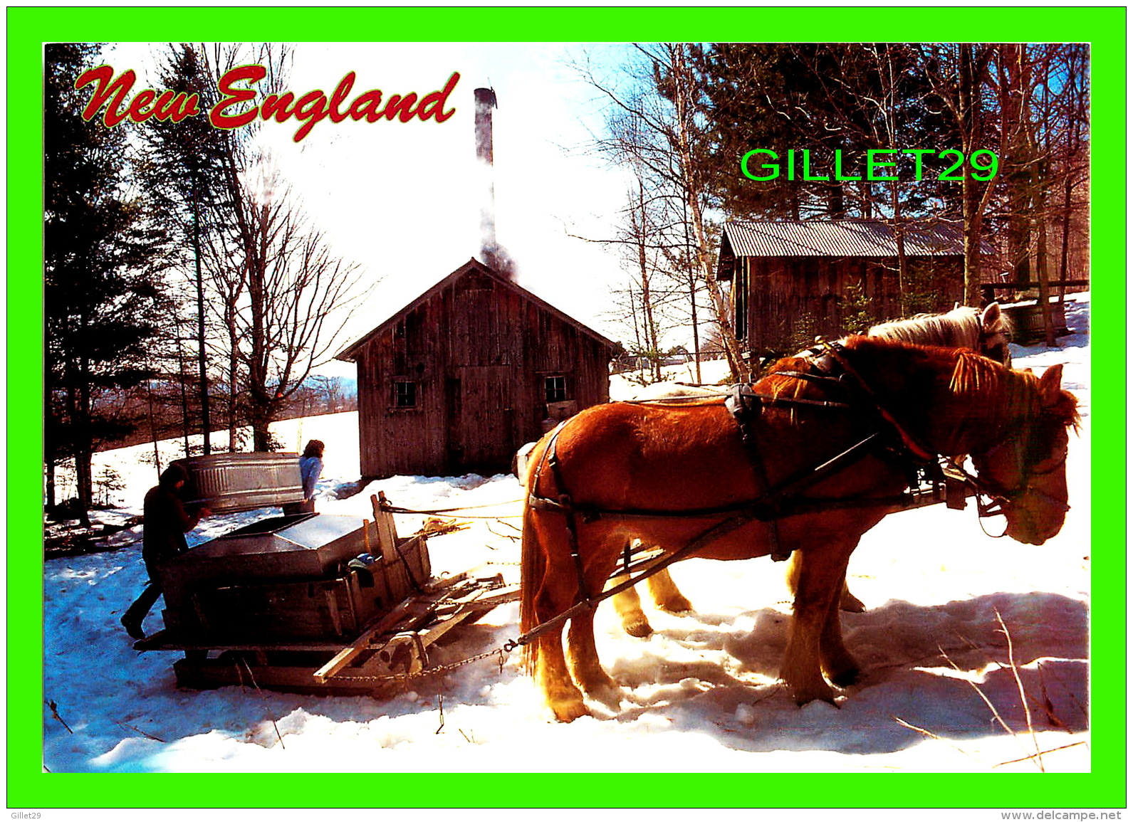 CHEVAUX - HORSES -  NEW ENGLAND MAPLE SUGAR TIME IN WINTER  -  MAINE SCENE INC - - Chevaux