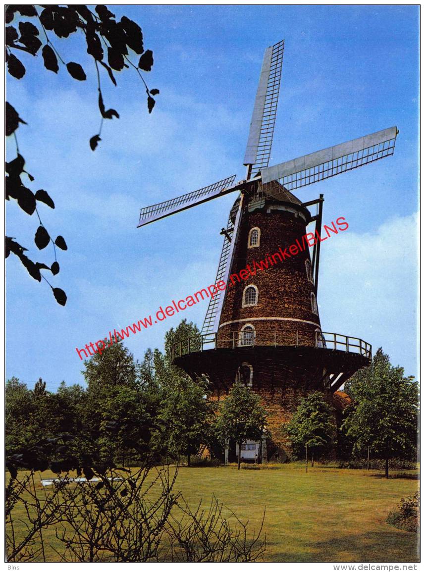 Rooman's Molen - Sint-Pauwels - Sint-Gillis-Waas