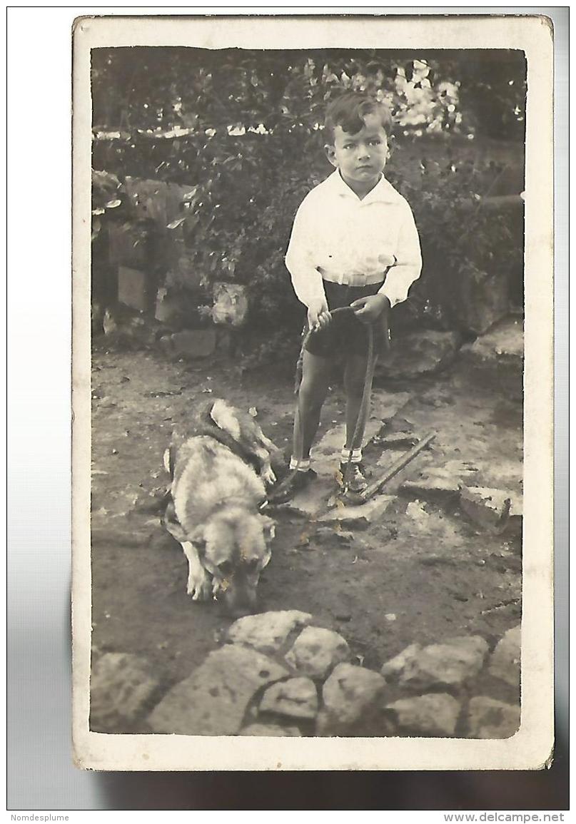 52772 ) Unknown Origin Photo Card Boy And Dog - A Identifier