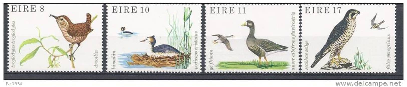 Irlande 1979 Série N°400/403 Neuve** Thème:oiseaux - Neufs