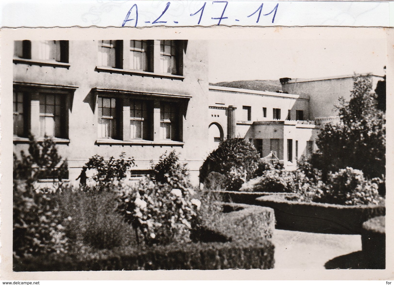 Algerie : Souk-ahras   (le Square Et Le Groupe Scolaire ) - Souk Ahras