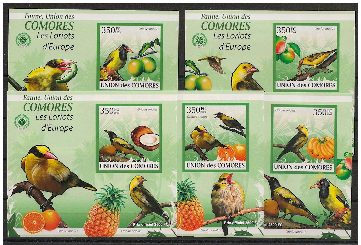 Comores - 2009 - KLB N°Yv. 1736 à 1740 - Loriots - Non Dentelé / Imperf. - Neuf Luxe ** / MNH / Postfrisch - Mussen