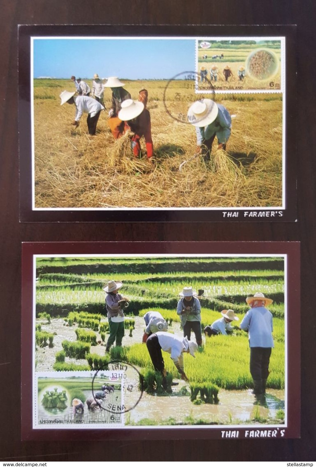 Thailand Postcard Stamp 1999 Thai Rice - Thailand