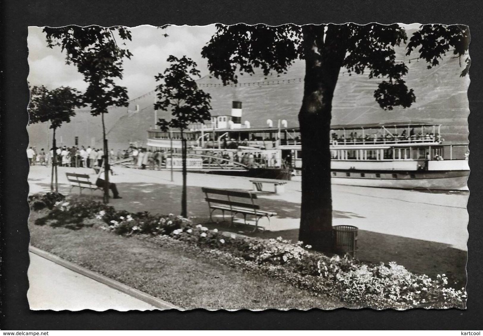 Bingen Rhénanie-Palatinat  Allemagne Germany - Bingen