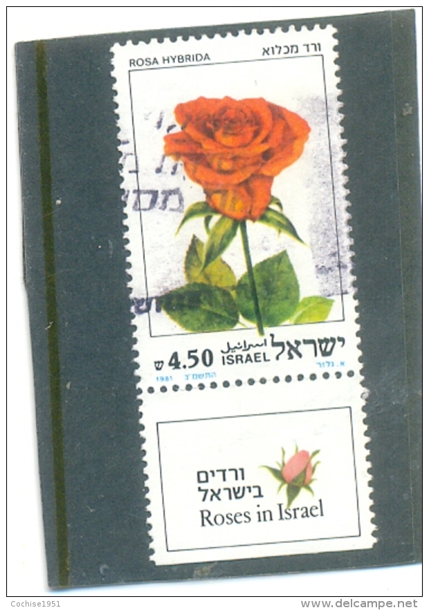 1981 ISRAEL Y &amp; T N° 808 ( O ) Fleurs - Gebruikt (met Tabs)