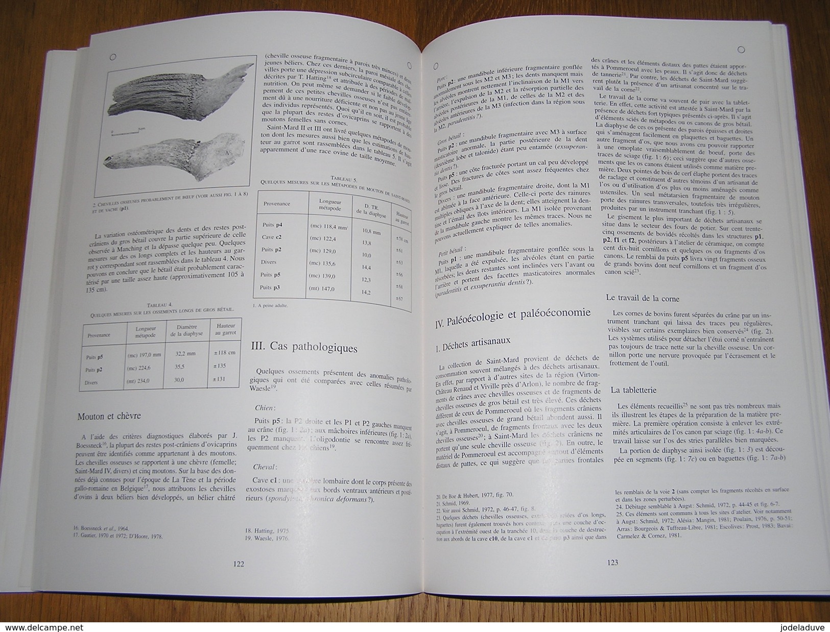 ETUDES ET DOCUMENTS Fouilles 1 Régionalisme Archéologie Quartier de l'Agglomération Gallo Romaine de Saint Mard Virton