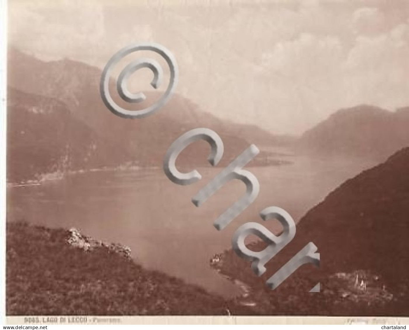 * Foto Edizioni Brogi 1875 Ca. - Panorama Lago Di Lecco - Altri & Non Classificati