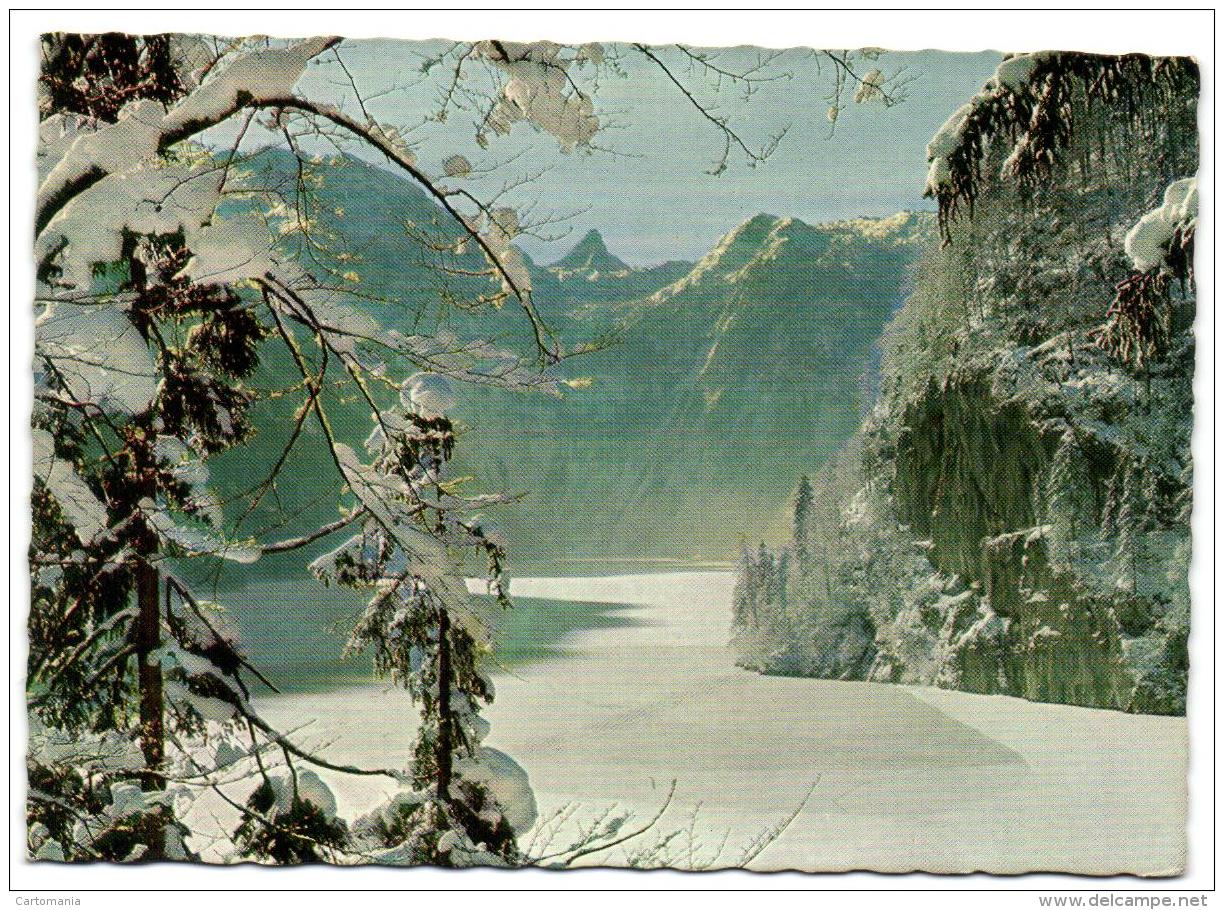 Der Königsee - Blick Vom Malerwinkel Auf Funtensee- Und Grünseetauern - Berchtesgaden