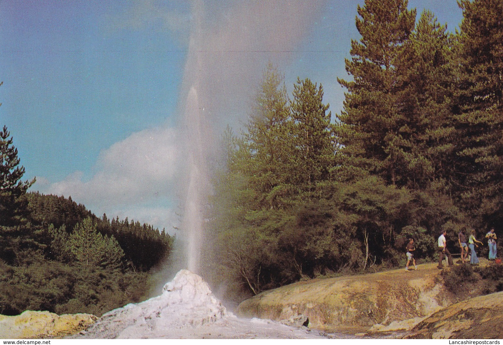 Postcard Lady Knox Geyser Waiotapu  New Zealand  My Ref B22079 - New Zealand