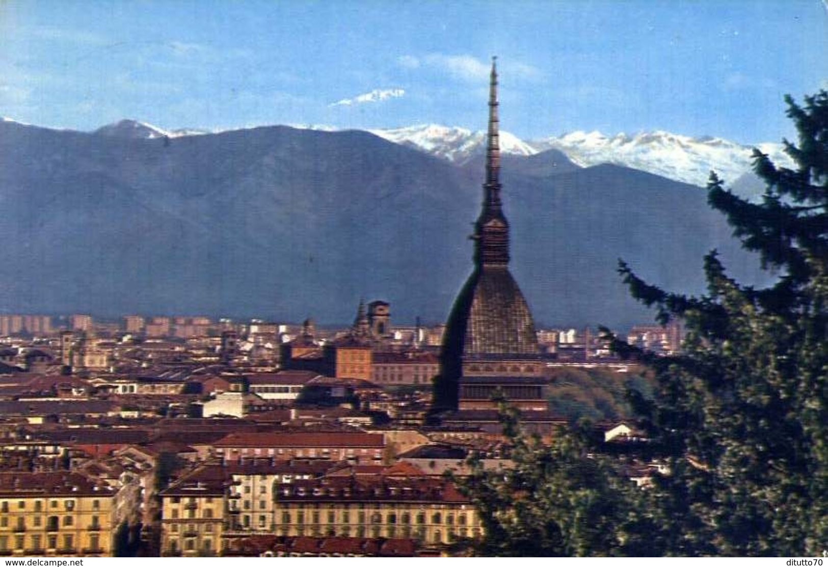 Torino - Scorcio Panoramico Con La Mole Antonelliana - 350 - Formato Grande Viaggiata – E 3 - Mole Antonelliana