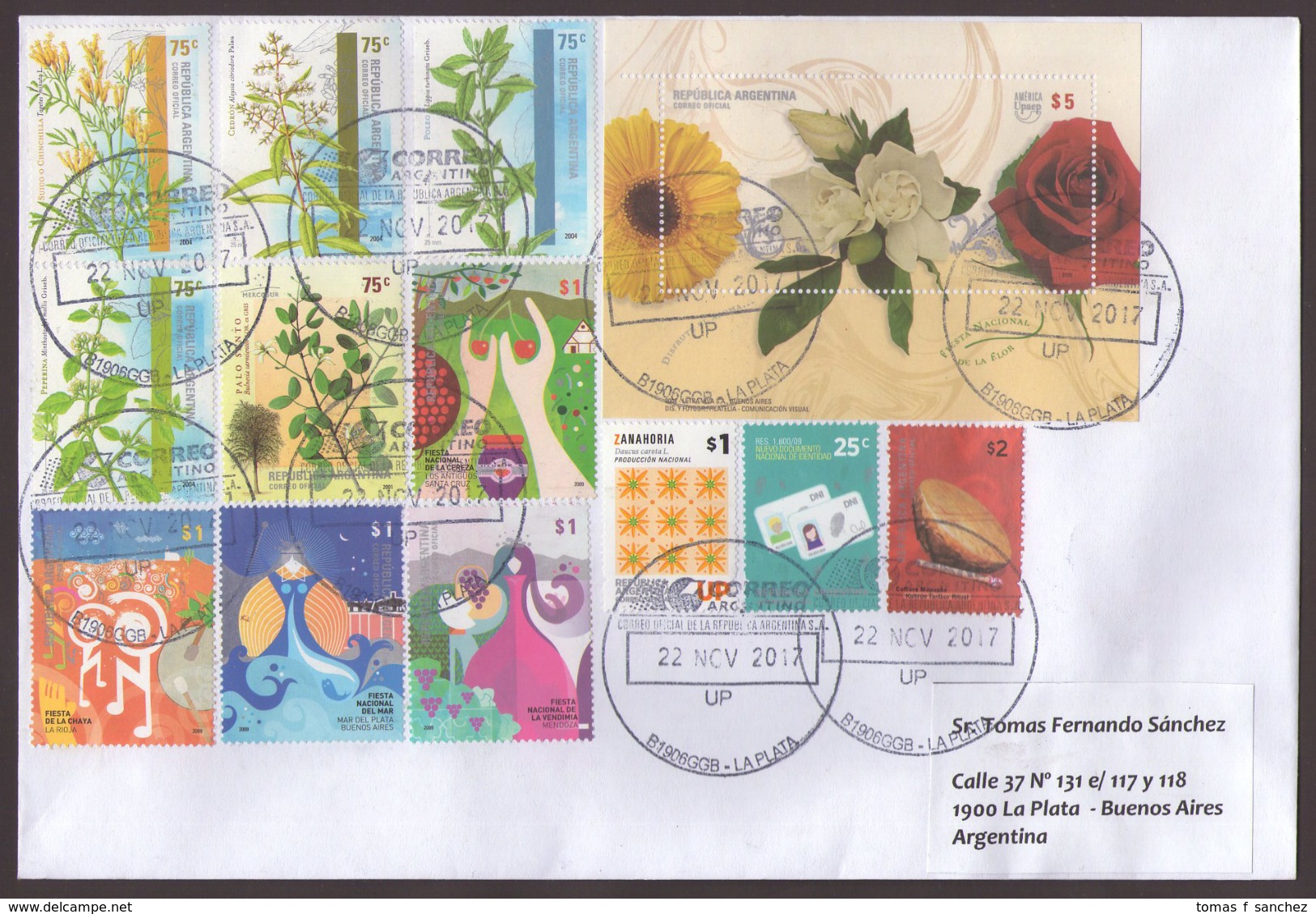 Argentina -  2017 - Lettre - Fleurs - Plantes Médicinales - Fêtes Populaires - Lettres & Documents