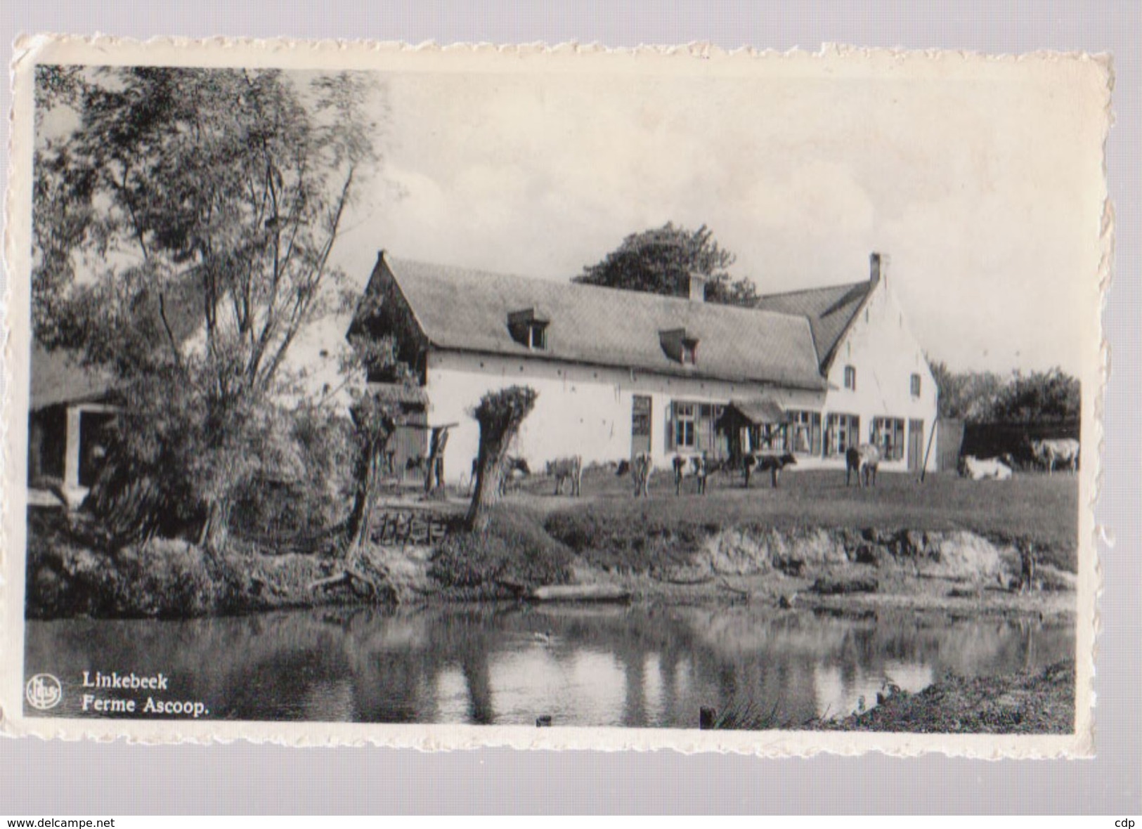 Cpsm Linkebeek   Ferme 1951 - Linkebeek