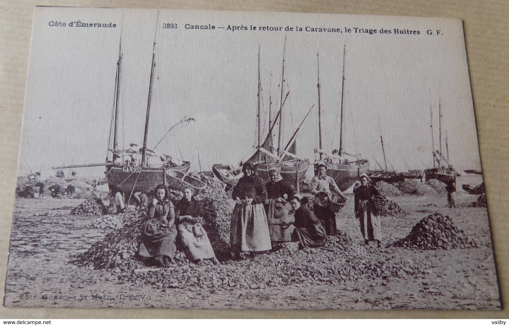 Cancale - Après Le Retour De La Caravane - Le Triage Des Huitres - Cancale