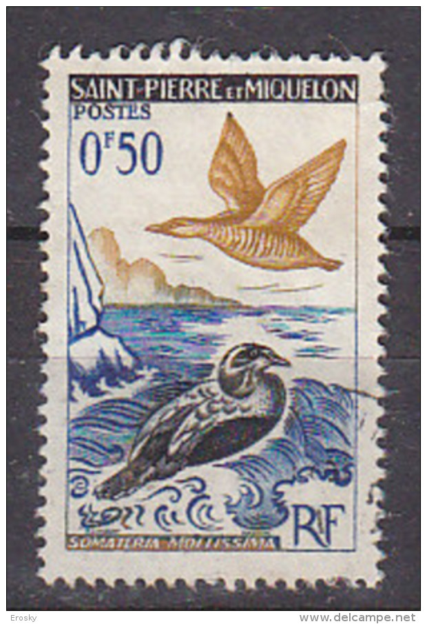 M4707 - ST. PIERRE ET MIQUELON Yv N°364 OISEAUX - Usati