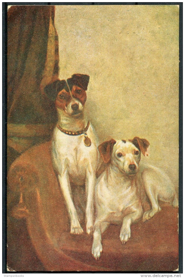 1934 Latvia Dogs Orient Postcard Marsheni - Latvia