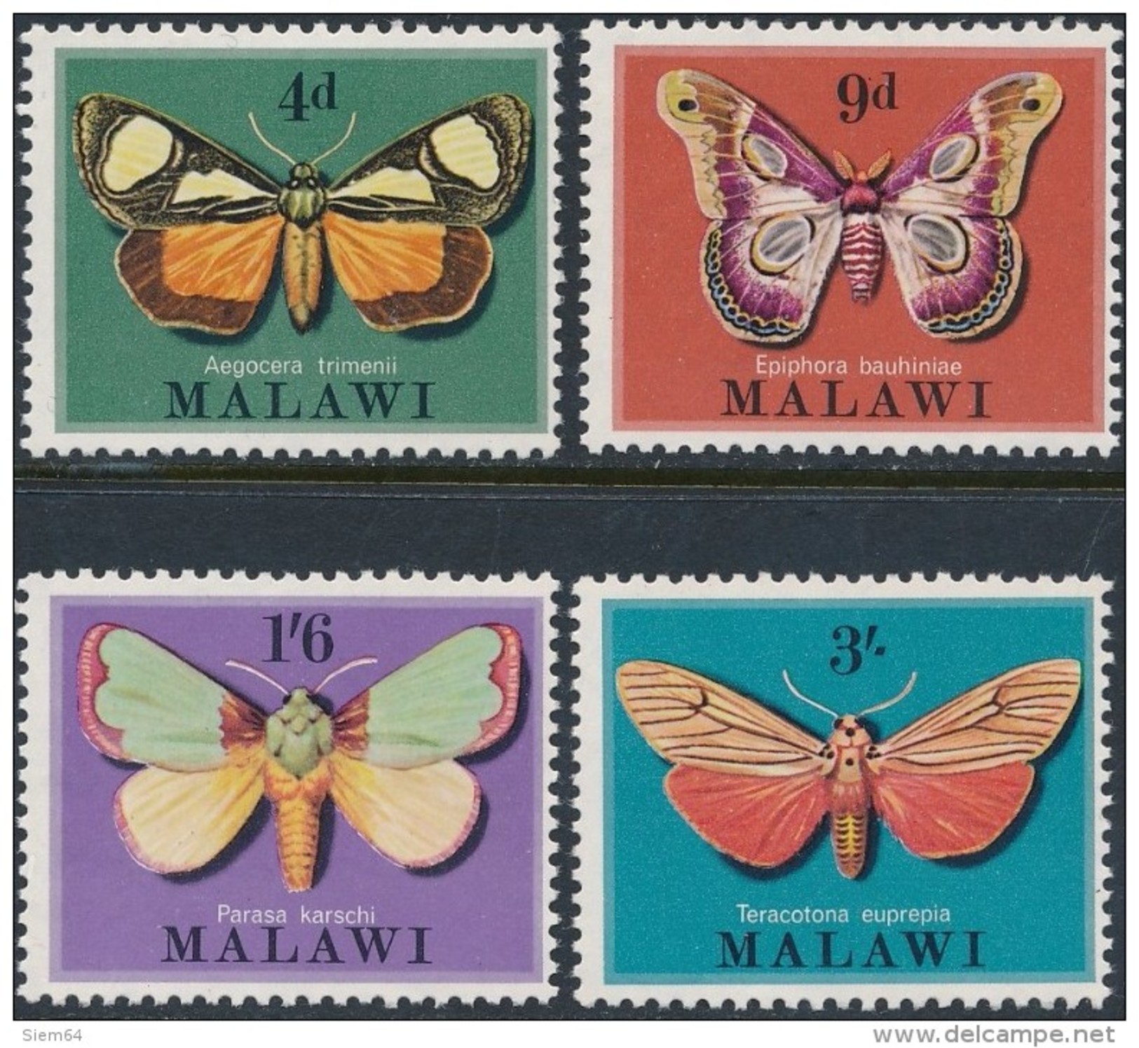 Malawi  Butterflies - Vlinders