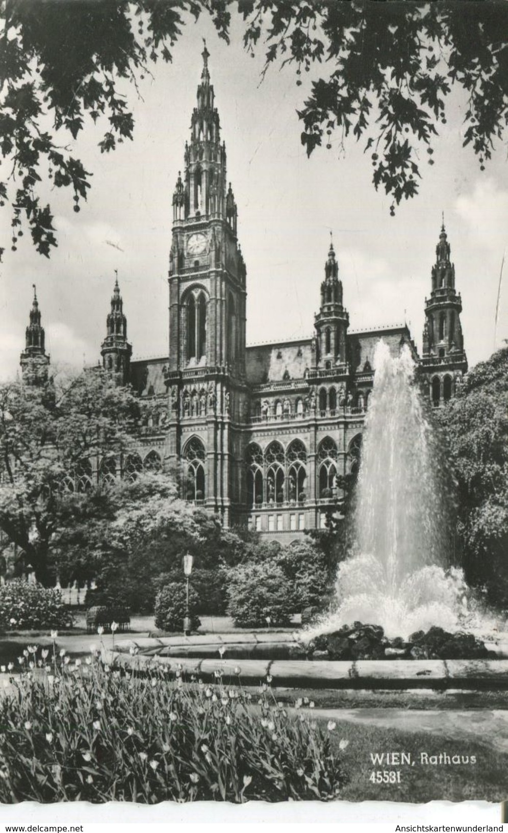 Wien - Rathaus (001731) - Ringstrasse