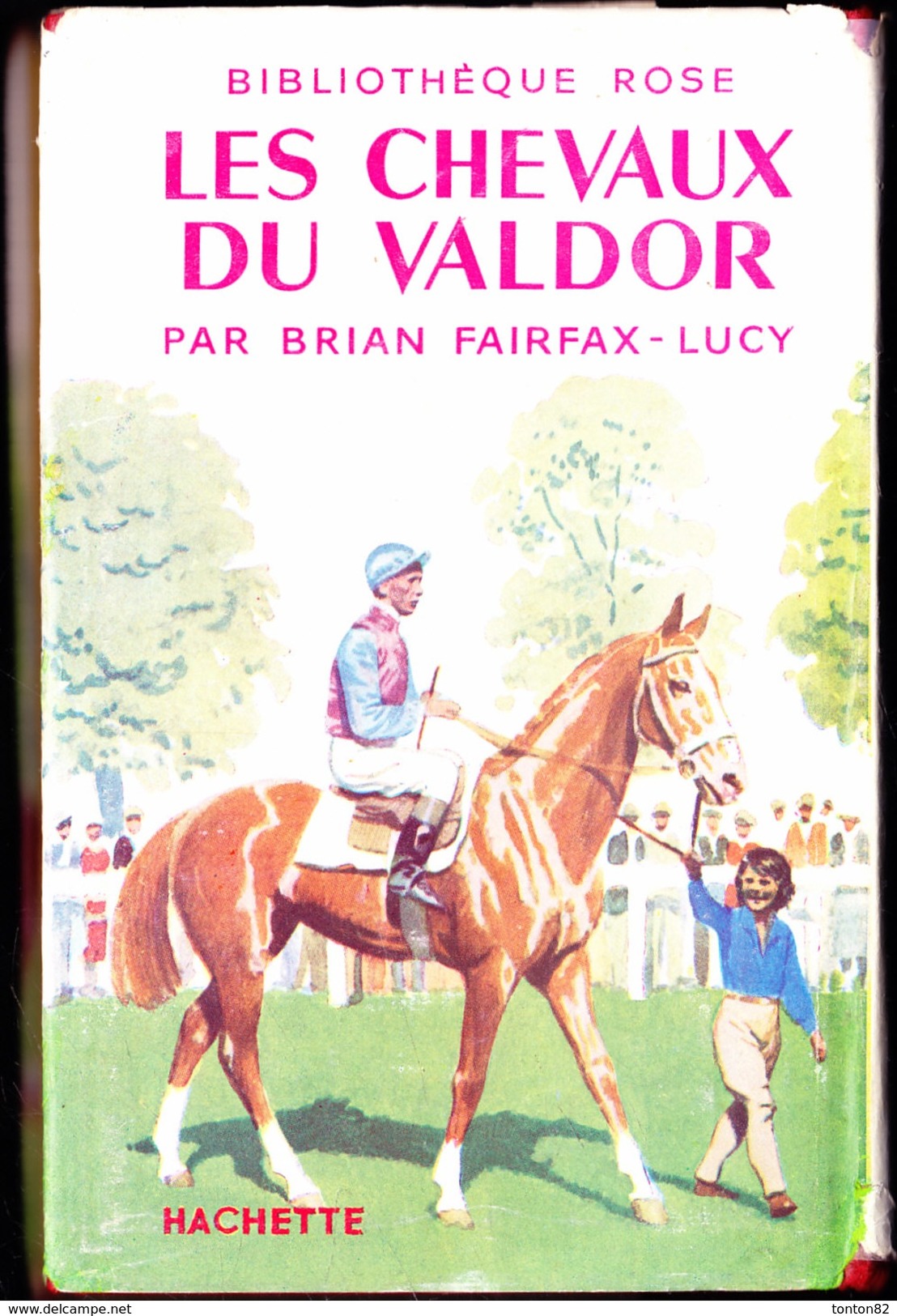 Brian Fairfax-Lucy - Les Chevaux Du Valdor  - Bibliothèque Rose Illustrée ( Avec Jaquette  BE ) - ( 1955 ) . - Bibliothèque Rose