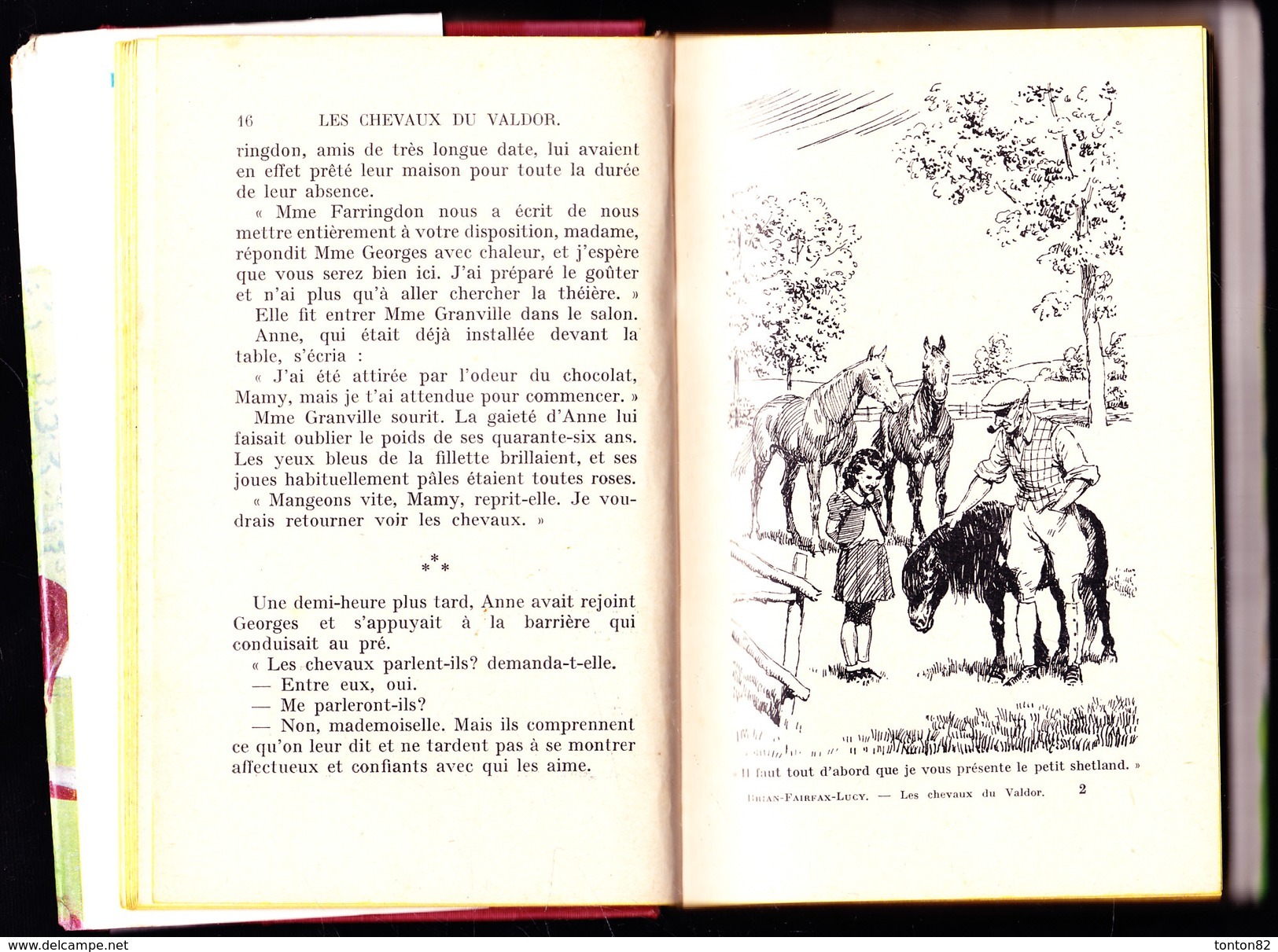 Brian Fairfax-Lucy - Les Chevaux Du Valdor  - Bibliothèque Rose Illustrée ( Avec Jaquette  BE ) - ( 1955 ) . - Bibliothèque Rose