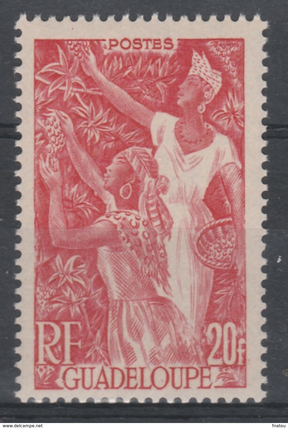 Guadeloupe, Coffee Harvest, 20f., 1947, MNH VF - Neufs