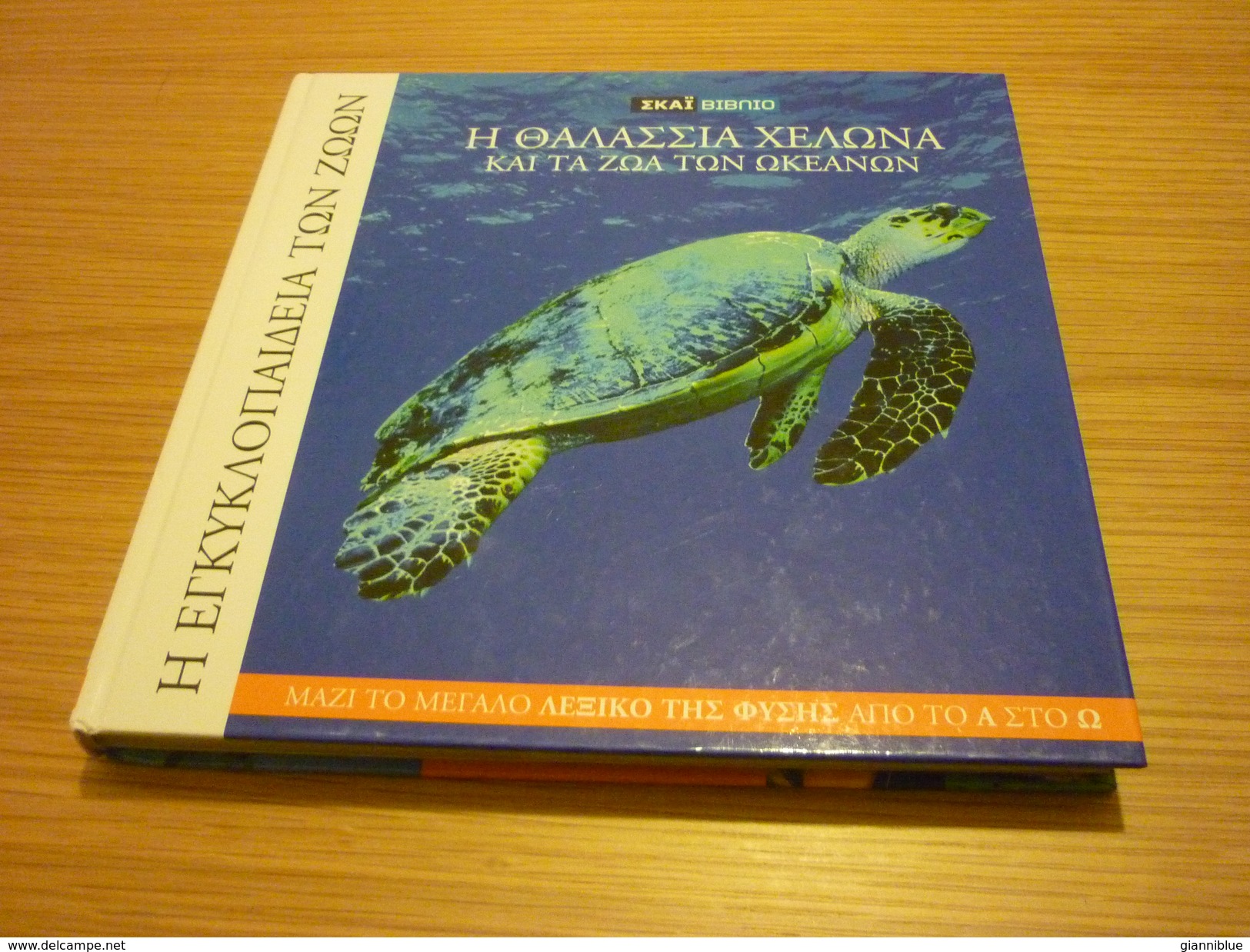Sea Turtle & Sea Life Encyclopaedia Book Hard Cover - Encyclopedieën