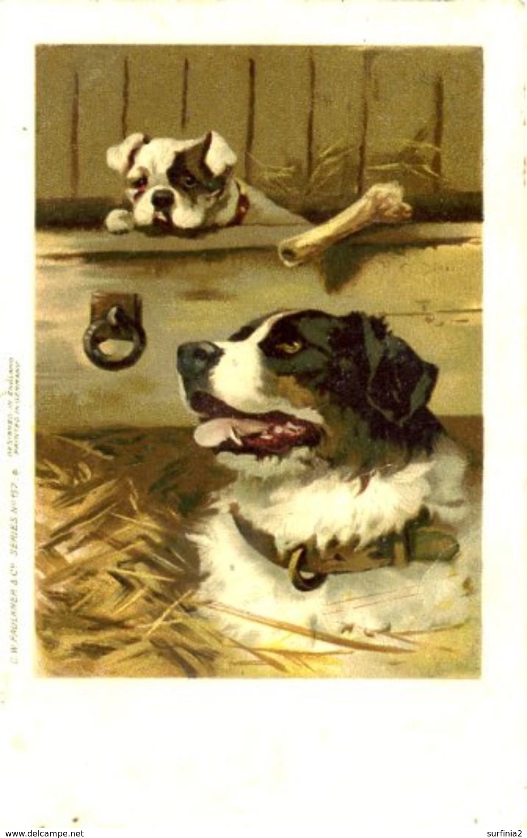 DOGS - FAULKNER SERIES 157 1904  Dog94 - Dogs