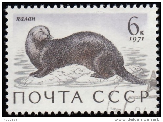 RUSSIA - Scott #3883 Enhydra Lutris / Used Stamp - Oblitérés
