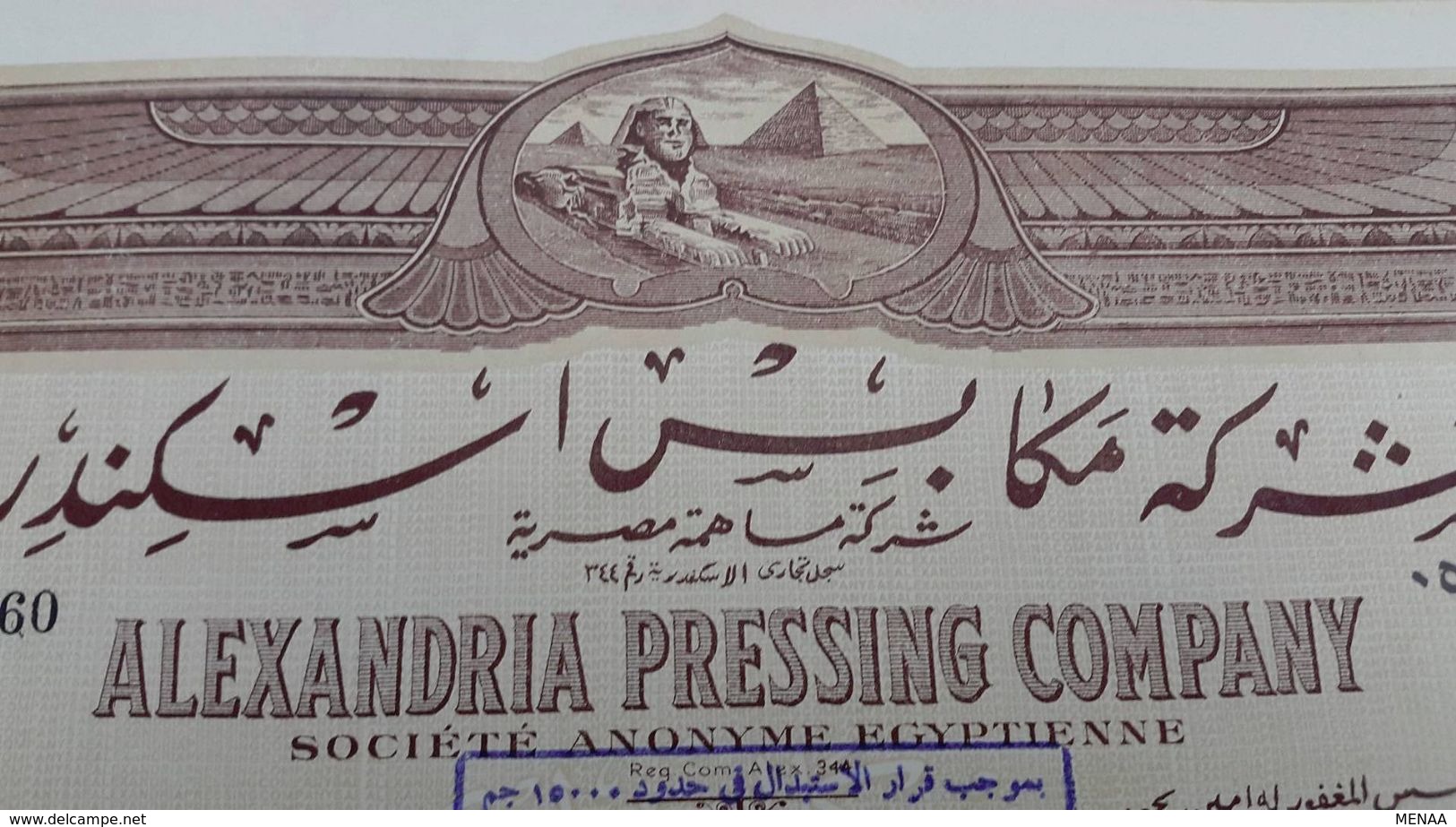 EGYPT - OLD SHARE ALEXANDRIA PRESSING COMPANY  - 5 ACTION - Africa