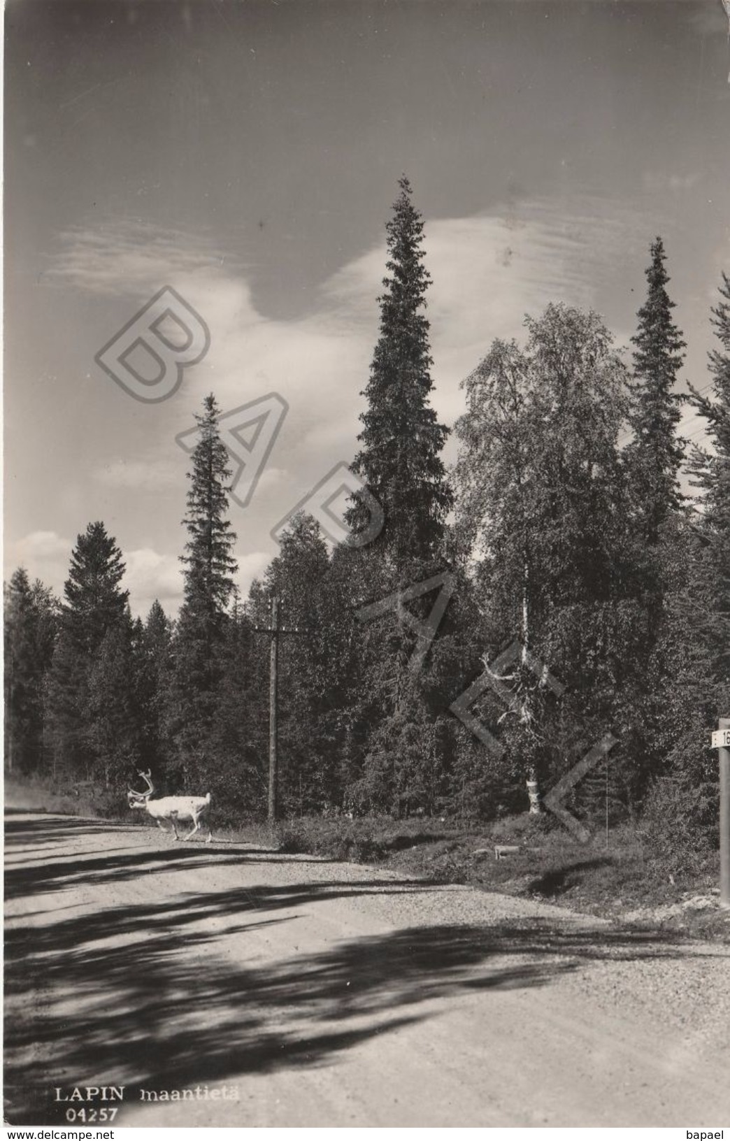 Laponnie (Finlande) - ''Lapin Maantietä'' (Route) - Finland