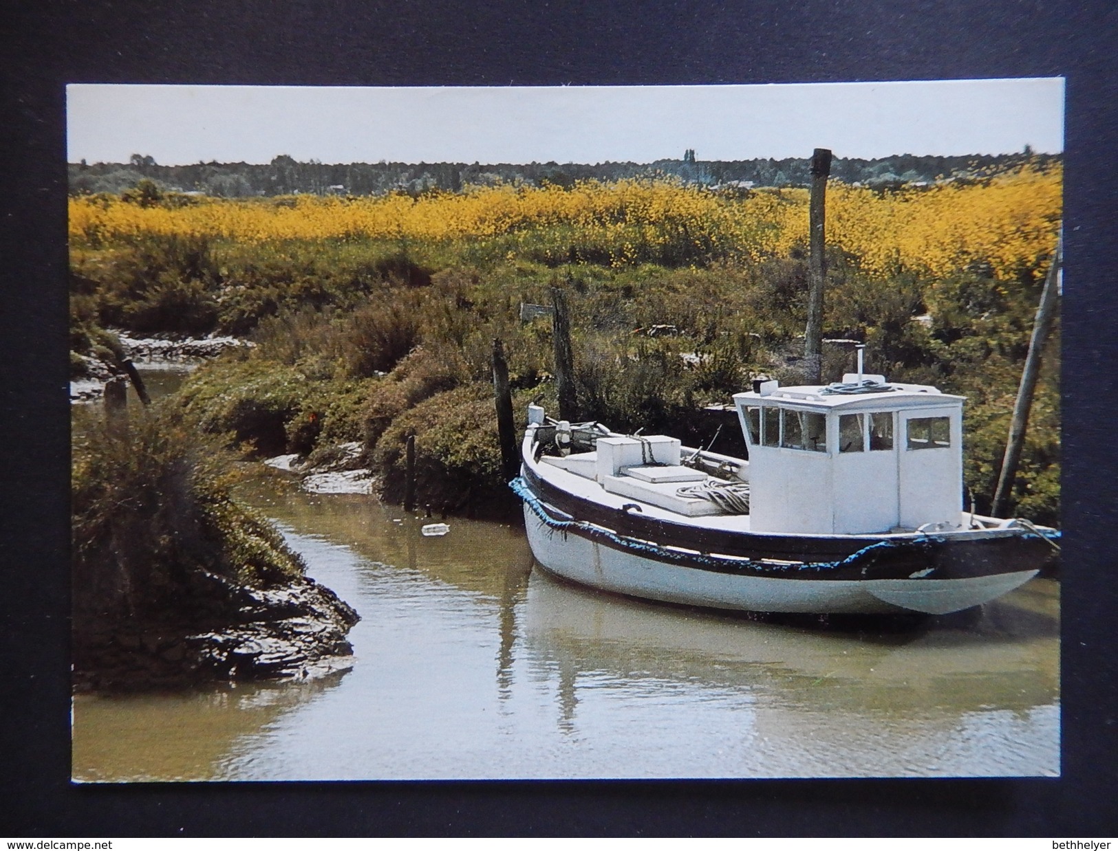 CPSM - (17) - ILE D'OLERON - BATEAU DANS LE MARAIS - R8952 - Ile D'Oléron